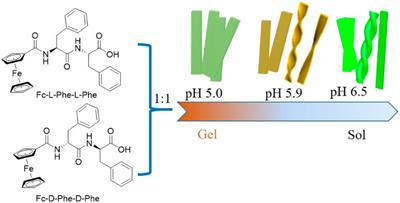 Self-Assembly Dipeptide Hydrogel: The Structures and Properties